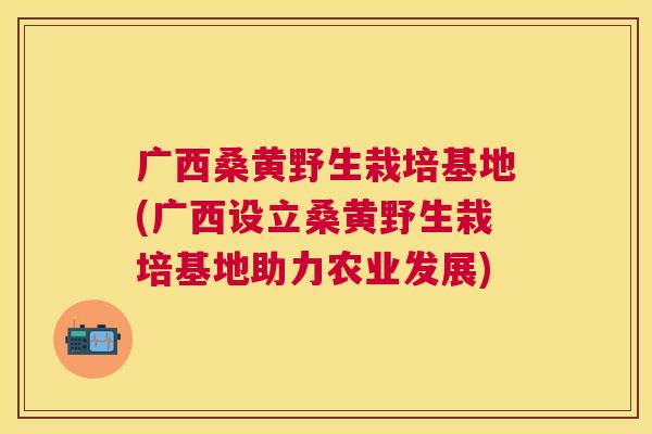 广西桑黄野生栽培基地(广西设立桑黄野生栽培基地助力农业发展)