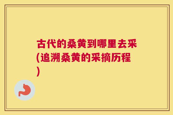 古代的桑黄到哪里去采(追溯桑黄的采摘历程) 古代的桑黄到哪里去采(追溯桑黄的采摘历程)