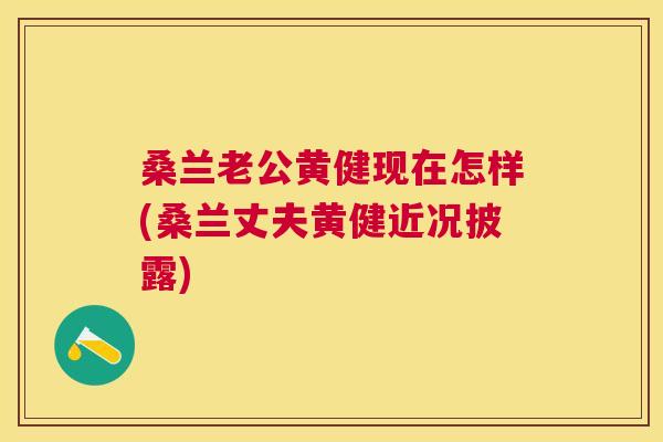 桑兰老公黄健现在怎样(桑兰丈夫黄健近况披露) 桑兰老公黄健现在怎样(桑兰丈夫黄健近况披露)