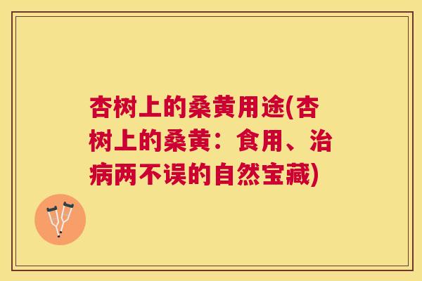 杏树上的桑黄用途(杏树上的桑黄:食用、两不误的自然宝藏) 杏树上的桑黄用途(杏树上的桑黄:食用、两不误的自然宝藏)