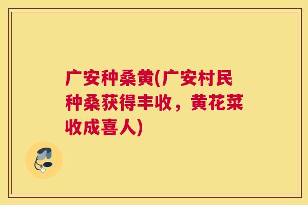 广安种桑黄(广安村民种桑获得丰收,黄花菜收成喜人) 广安种桑黄(广安村民种桑获得丰收,黄花菜收成喜人)