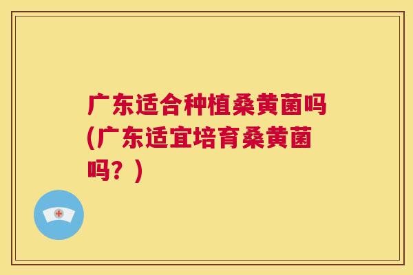 广东适合种植桑黄菌吗(广东适宜培育桑黄菌吗?) 广东适合种植桑黄菌吗(广东适宜培育桑黄菌吗?)
