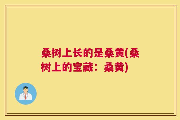 桑树上长的是桑黄(桑树上的宝藏:桑黄) 桑树上长的是桑黄(桑树上的宝藏:桑黄)