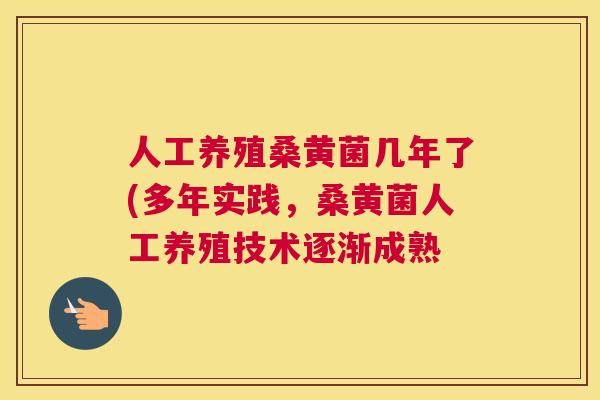 人工养殖桑黄菌几年了(多年实践,桑黄菌人工养殖技术逐渐成熟 人工养殖桑黄菌几年了(多年实践,桑黄菌人工养殖技术逐渐成熟