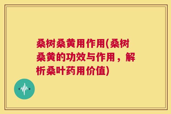 桑树桑黄用作用(桑树桑黄的功效与作用,解析桑叶药用价值) 桑树桑黄用作用(桑树桑黄的功效与作用,解析桑叶药用价值)