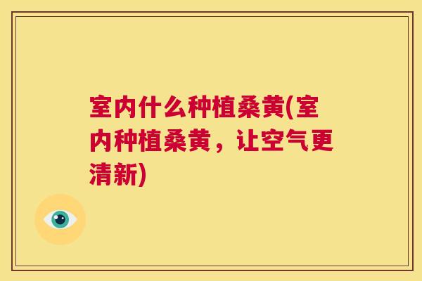 室内什么种植桑黄(室内种植桑黄,让空气更清新) 室内什么种植桑黄(室内种植桑黄,让空气更清新)