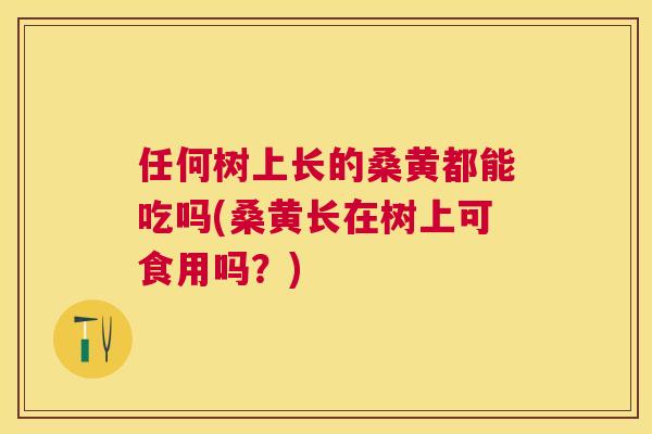 任何树上长的桑黄都能吃吗(桑黄长在树上可食用吗?) 任何树上长的桑黄都能吃吗(桑黄长在树上可食用吗?)
