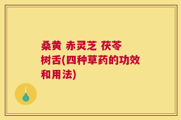 桑黄 赤灵芝 茯苓 树舌(四种草药的功效和用法)