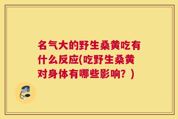 名气大的野生桑黄吃有什么反应(吃野生桑黄对身体有哪些影响？)
