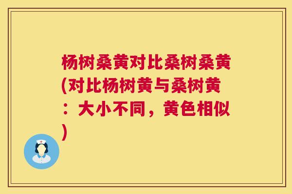 杨树桑黄对比桑树桑黄(对比杨树黄与桑树黄:大小不同,黄色相似) 杨树桑黄对比桑树桑黄(对比杨树黄与桑树黄:大小不同,黄色相似)