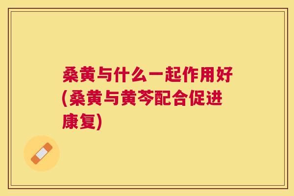 桑黄与什么一起作用好(桑黄与黄芩配合促进康复) 桑黄与什么一起作用好(桑黄与黄芩配合促进康复)