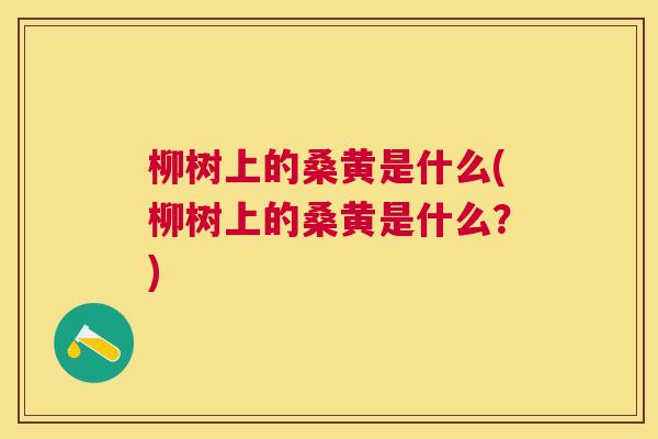 柳树上的桑黄是什么(柳树上的桑黄是什么?) 柳树上的桑黄是什么(柳树上的桑黄是什么?)