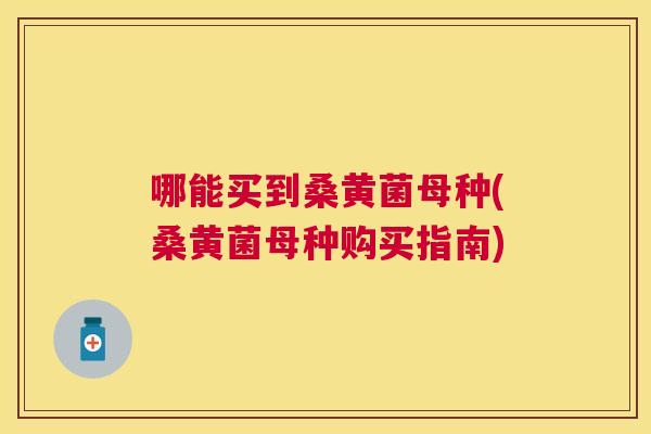 哪能买到桑黄菌母种(桑黄菌母种购买指南) 哪能买到桑黄菌母种(桑黄菌母种购买指南)