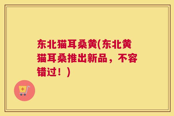 东北猫耳桑黄(东北黄猫耳桑推出新品,不容错过!) 东北猫耳桑黄(东北黄猫耳桑推出新品,不容错过!)