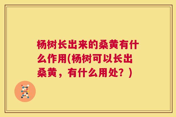 杨树长出来的桑黄有什么作用(杨树可以长出桑黄,有什么用处?) 杨树长出来的桑黄有什么作用(杨树可以长出桑黄,有什么用处?)