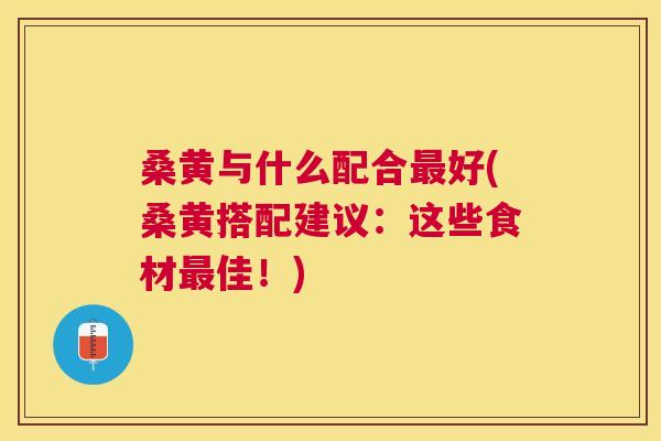 桑黄与什么配合好(桑黄搭配建议:这些食材佳!) 桑黄与什么配合好(桑黄搭配建议:这些食材佳!)