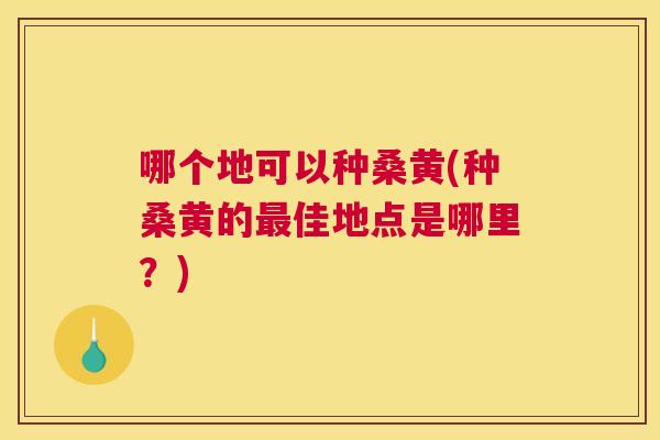 哪个地可以种桑黄(种桑黄的佳地点是哪里?) 哪个地可以种桑黄(种桑黄的佳地点是哪里?)