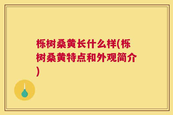 栎树桑黄长什么样(栎树桑黄特点和外观简介) 栎树桑黄长什么样(栎树桑黄特点和外观简介)
