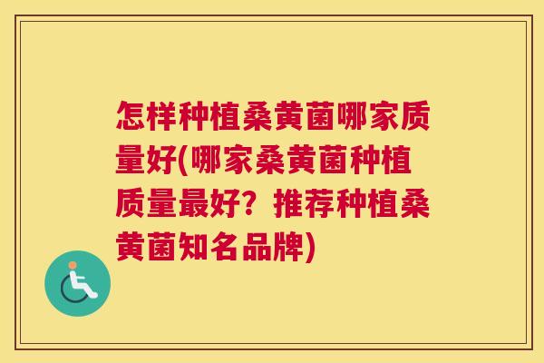 怎样种植桑黄菌哪家质量好(哪家桑黄菌种植质量好?推荐种植桑黄菌知名品牌) 怎样种植桑黄菌哪家质量好(哪家桑黄菌种植质量好?推荐种植桑黄菌知名品牌)