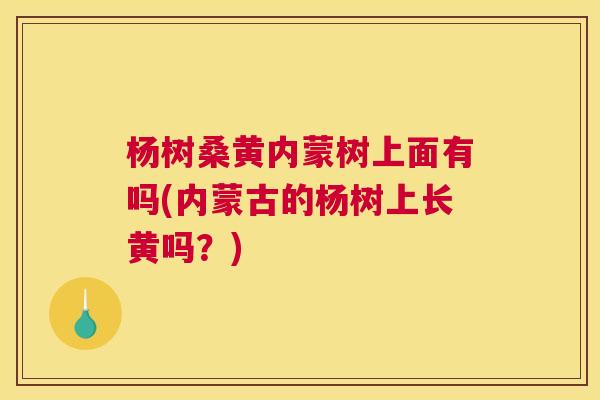 杨树桑黄内蒙树上面有吗(内蒙古的杨树上长黄吗?) 杨树桑黄内蒙树上面有吗(内蒙古的杨树上长黄吗?)