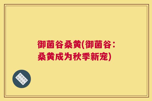 御菌谷桑黄(御菌谷:桑黄成为秋季新宠) 御菌谷桑黄(御菌谷:桑黄成为秋季新宠)