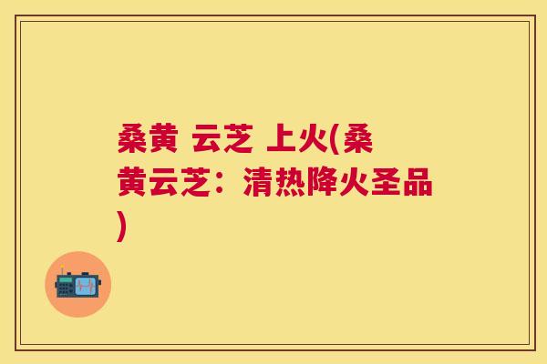 桑黄 云芝 上火(桑黄云芝:清热降火圣品) 桑黄 云芝 上火(桑黄云芝:清热降火圣品)