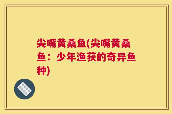 尖嘴黄桑鱼(尖嘴黄桑鱼:少年渔获的奇异鱼种) 尖嘴黄桑鱼(尖嘴黄桑鱼:少年渔获的奇异鱼种)