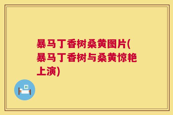 暴马丁香树桑黄图片(暴马丁香树与桑黄惊艳上演) 暴马丁香树桑黄图片(暴马丁香树与桑黄惊艳上演)