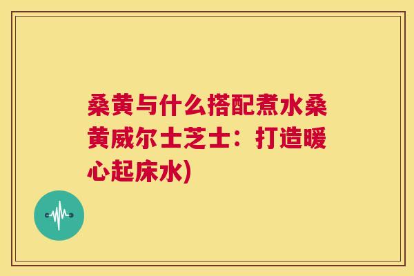桑黄与什么搭配煮水桑黄威尔士芝士:打造暖心起床水) 桑黄与什么搭配煮水桑黄威尔士芝士:打造暖心起床水)