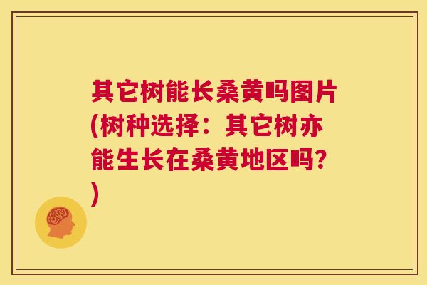 其它树能长桑黄吗图片(树种选择：其它树亦能生长在桑黄地区吗？)