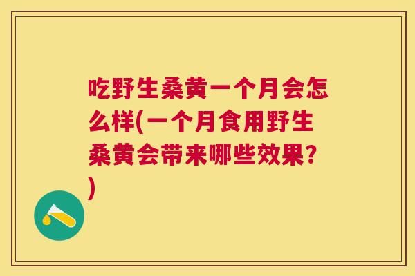 吃野生桑黄一个月会怎么样(一个月食用野生桑黄会带来哪些效果?) 吃野生桑黄一个月会怎么样(一个月食用野生桑黄会带来哪些效果?)
