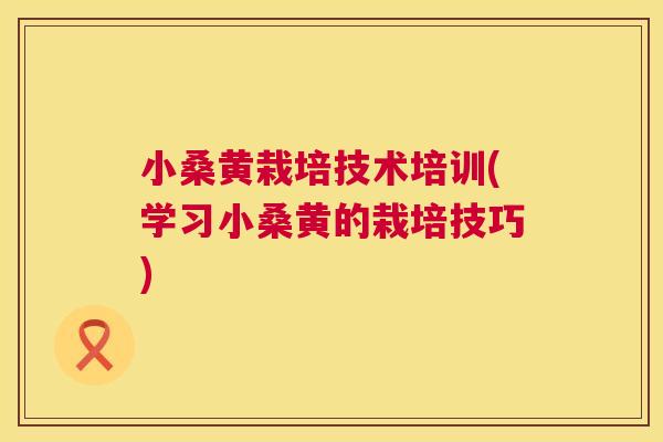 小桑黄栽培技术培训(学习小桑黄的栽培技巧) 小桑黄栽培技术培训(学习小桑黄的栽培技巧)