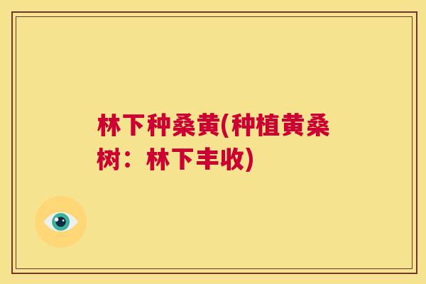 林下种桑黄(种植黄桑树:林下丰收) 林下种桑黄(种植黄桑树:林下丰收)