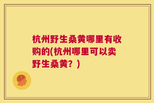 杭州野生桑黄哪里有收购的(杭州哪里可以卖野生桑黄?) 杭州野生桑黄哪里有收购的(杭州哪里可以卖野生桑黄?)