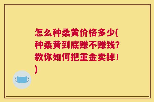 怎么种桑黄价格多少(种桑黄到底赚不赚钱?教你如何把重金卖掉!) 怎么种桑黄价格多少(种桑黄到底赚不赚钱?教你如何把重金卖掉!)