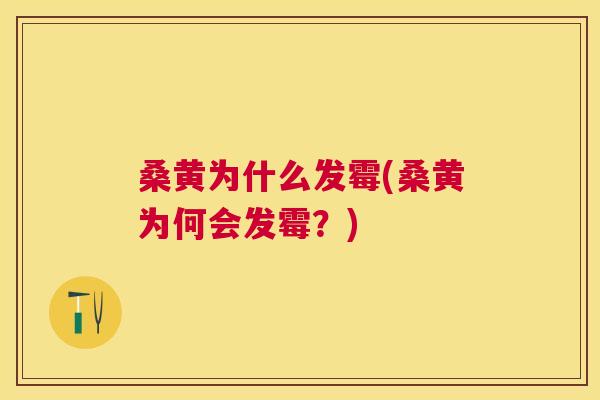桑黄为什么发霉(桑黄为何会发霉?) 桑黄为什么发霉(桑黄为何会发霉?)