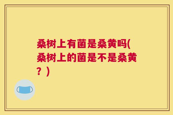 桑树上有菌是桑黄吗(桑树上的菌是不是桑黄?) 桑树上有菌是桑黄吗(桑树上的菌是不是桑黄?)