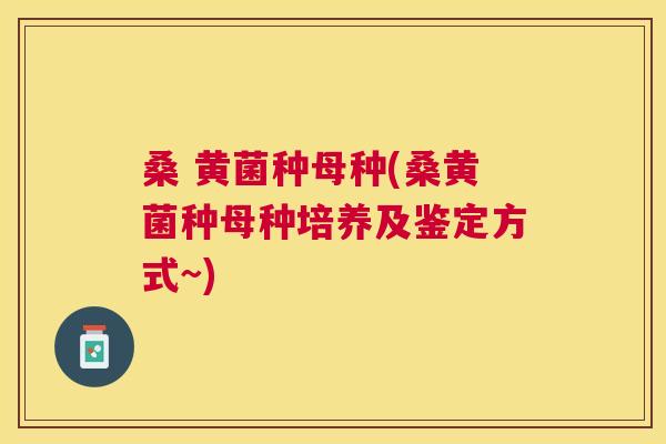 桑 黄菌种母种(桑黄菌种母种培养及鉴定方式~) 桑 黄菌种母种(桑黄菌种母种培养及鉴定方式~)