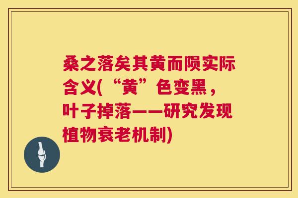 桑之落矣其黄而陨实际含义(“黄”色变黑,叶子掉落——研究发现植物机制) 桑之落矣其黄而陨实际含义(“黄”色变黑,叶子掉落——研究发现植物机制)