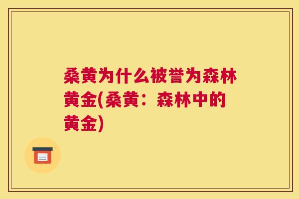 桑黄为什么被誉为森林黄金(桑黄:森林中的黄金) 桑黄为什么被誉为森林黄金(桑黄:森林中的黄金)
