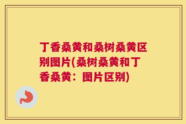 丁香桑黄和桑树桑黄区别图片(桑树桑黄和丁香桑黄:图片区别) 丁香桑黄和桑树桑黄区别图片(桑树桑黄和丁香桑黄:图片区别)