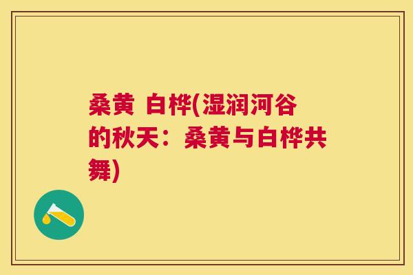 桑黄 白桦(湿润河谷的秋天:桑黄与白桦共舞) 桑黄 白桦(湿润河谷的秋天:桑黄与白桦共舞)