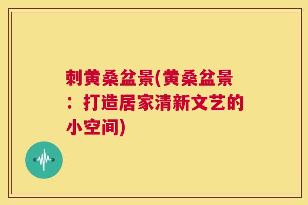 刺黄桑盆景(黄桑盆景:打造居家清新文艺的小空间) 刺黄桑盆景(黄桑盆景:打造居家清新文艺的小空间)
