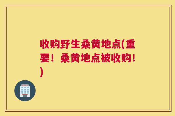 收购野生桑黄地点(重要!桑黄地点被收购!) 收购野生桑黄地点(重要!桑黄地点被收购!)