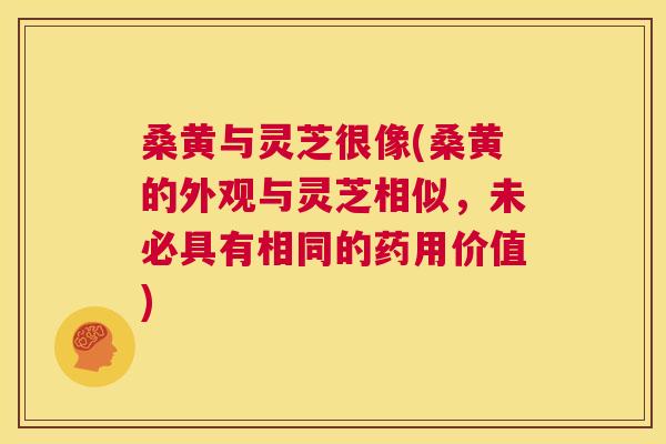 桑黄与灵芝很像(桑黄的外观与灵芝相似,未必具有相同的药用价值) 桑黄与灵芝很像(桑黄的外观与灵芝相似,未必具有相同的药用价值)