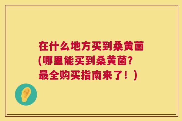 在什么地方买到桑黄菌(哪里能买到桑黄菌?全购买指南来了!) 在什么地方买到桑黄菌(哪里能买到桑黄菌?全购买指南来了!)