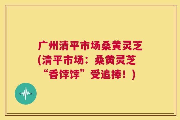 广州清平市场桑黄灵芝(清平市场:桑黄灵芝“香饽饽”受追捧!) 广州清平市场桑黄灵芝(清平市场:桑黄灵芝“香饽饽”受追捧!)