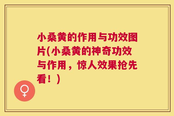 小桑黄的作用与功效图片(小桑黄的神奇功效与作用,惊人效果抢先看!) 小桑黄的作用与功效图片(小桑黄的神奇功效与作用,惊人效果抢先看!)