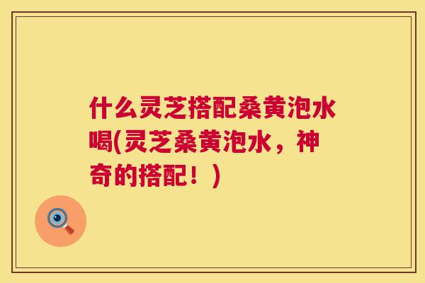 什么灵芝搭配桑黄泡水喝(灵芝桑黄泡水,神奇的搭配!) 什么灵芝搭配桑黄泡水喝(灵芝桑黄泡水,神奇的搭配!)