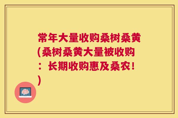 常年大量收购桑树桑黄(桑树桑黄大量被收购：长期收购惠及桑农！)
